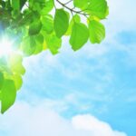 2022年8月の臨時休業および夏季休業のお知らせ